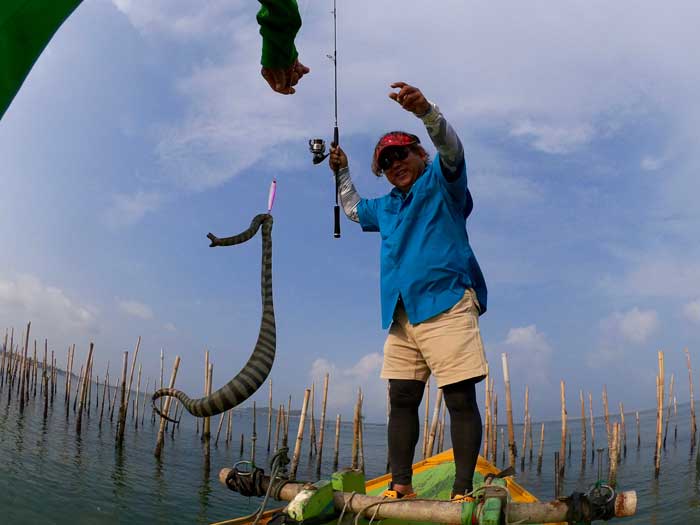 タイ王国 釣り 海蛇