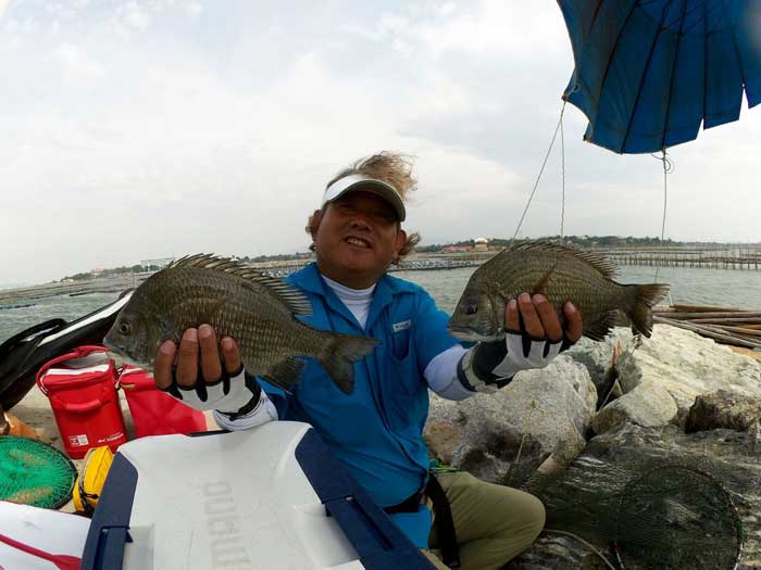 タイランド タイ王国 フカセ釣り チヌ クロダイ